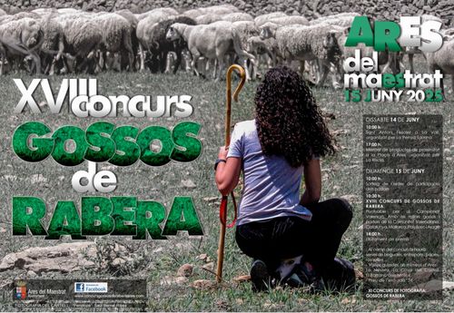 [Ares] Concurs de gossos de rabera