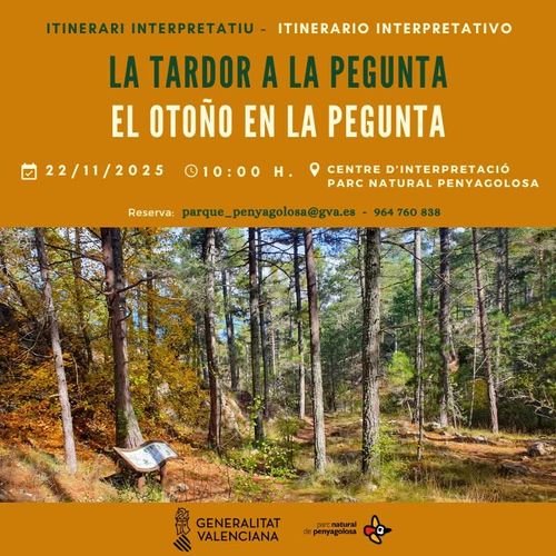 La tardor a la Pegunta [Excursió]