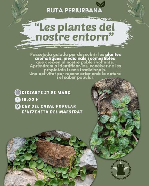 [Ruta] 𝗟𝗲𝘀 𝗽𝗹𝗮𝗻𝘁𝗲𝘀 𝗱𝗲𝗹 𝗻𝗼𝘀𝘁𝗿𝗲 𝗲𝗻𝘁𝗼𝗿𝗻