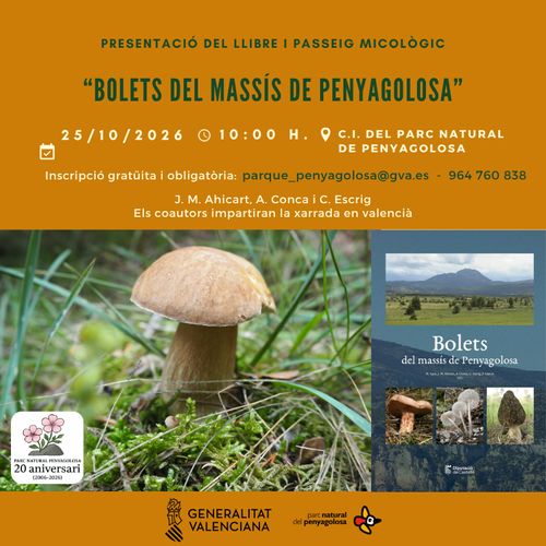 Bolets del massís de Penyagolosa