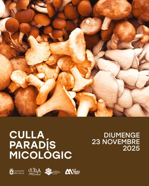 Culla, paradís micològic
